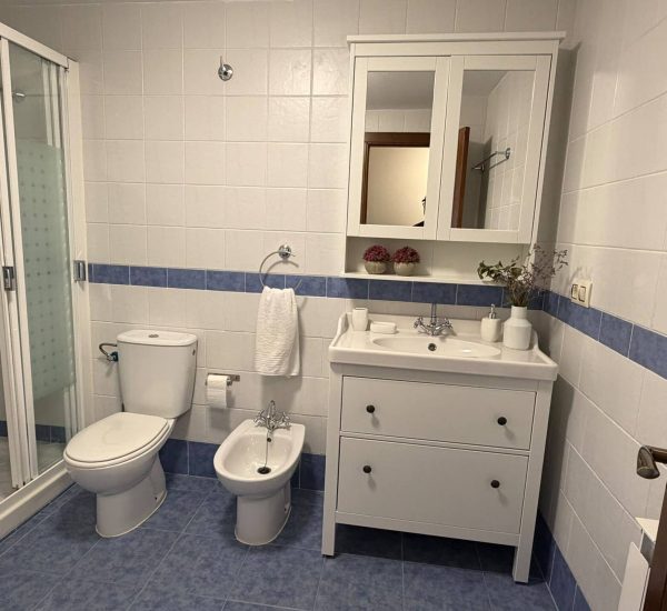 apartamento-sol-y-nieve-mora-de-rubielos-bano